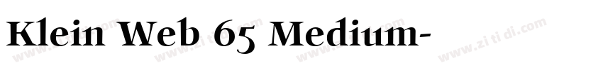 Klein Web 65 Medium字体转换